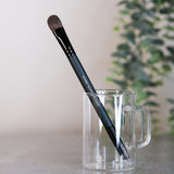 Expert Shadow & Liner Brush